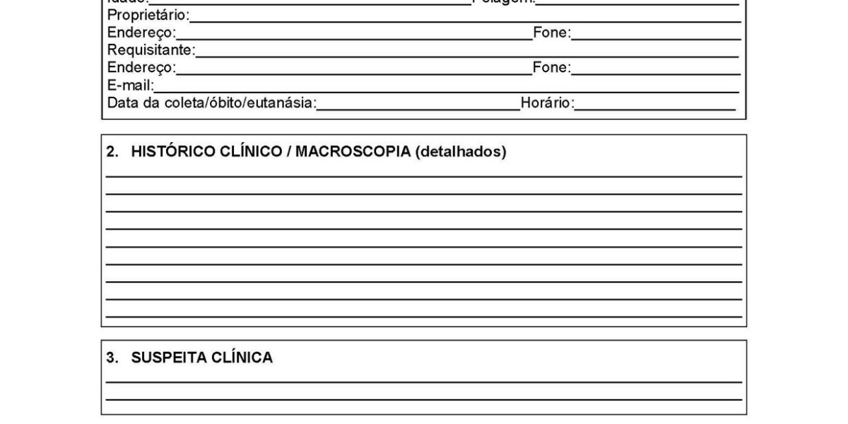 Agende Pré 4 Felino no Gold Lab Vet em Minutos: Simplicidade e Agilidade para Seu Pet