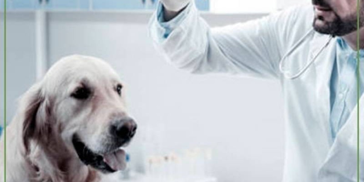 How Much Does a Dog DNA Test Cost? Factors, Types & Info