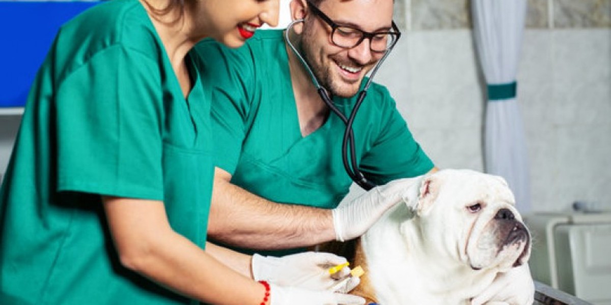 Pet Wellness Exams: Costs and What to Expect