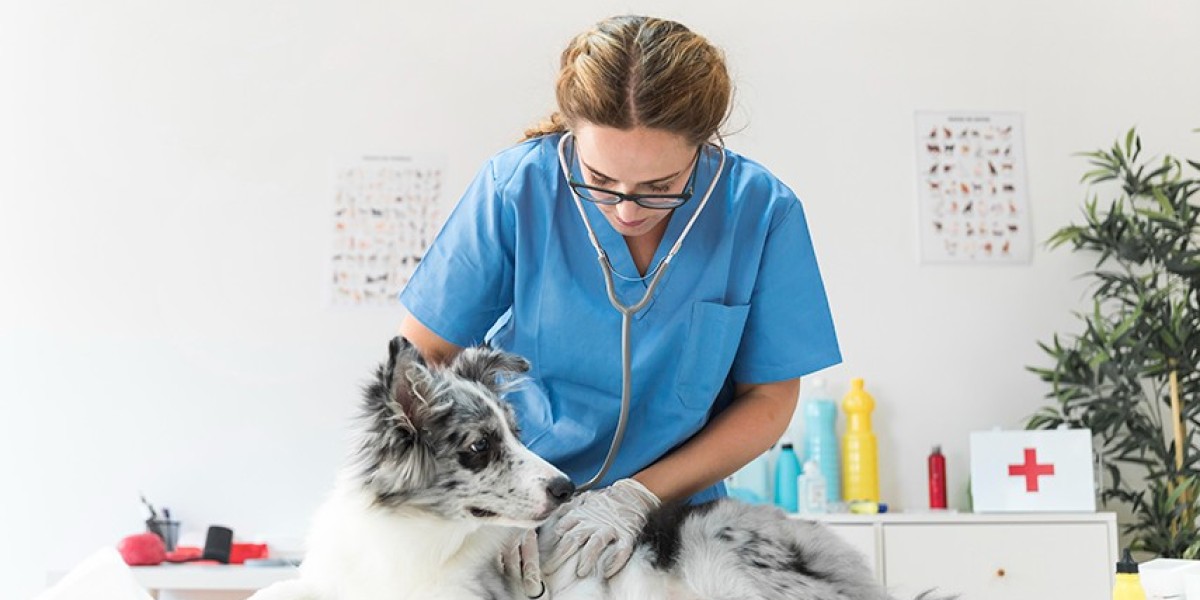 Blood Work for Dogs and Cats