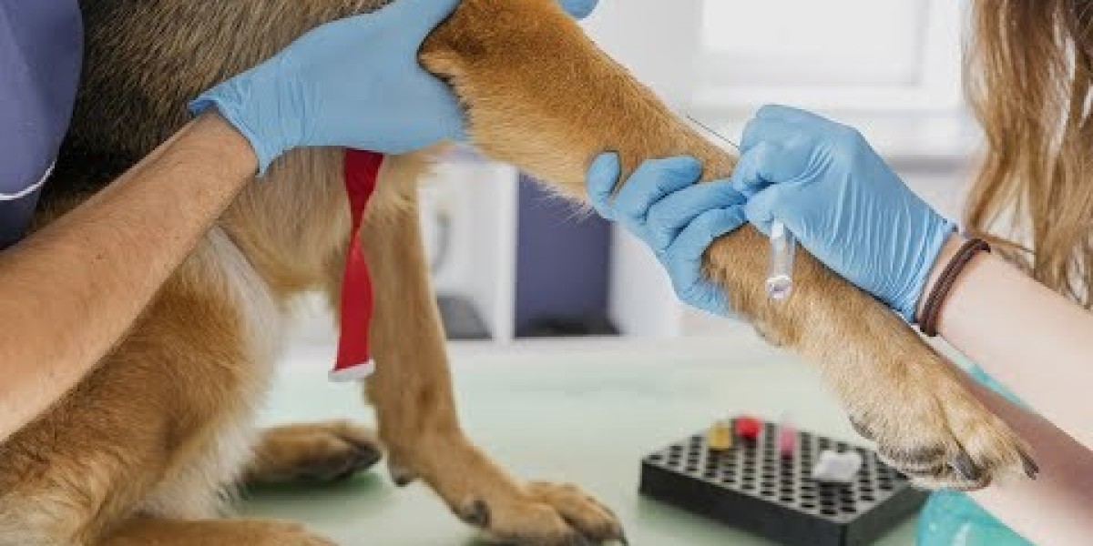 Reference Laboratories & Veterinary Diagnostics