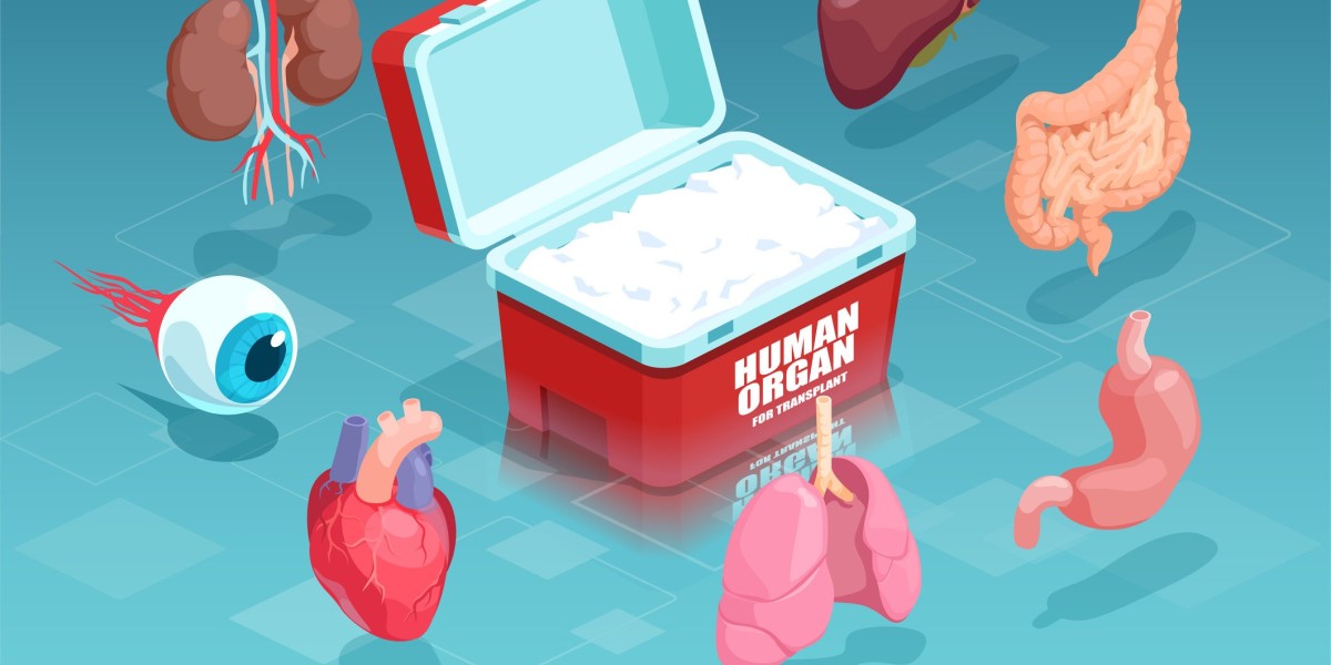 Exploring the Transplantation Market: Advancements and Future Prospects in Organ Transplants