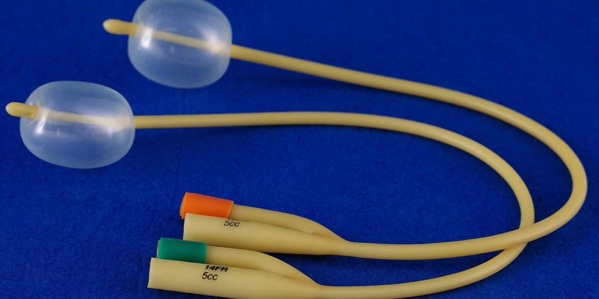 Foley Catheters Market: Navigating Growth and Innovation in Urological Care