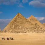 Egypt eVisa Profile Picture