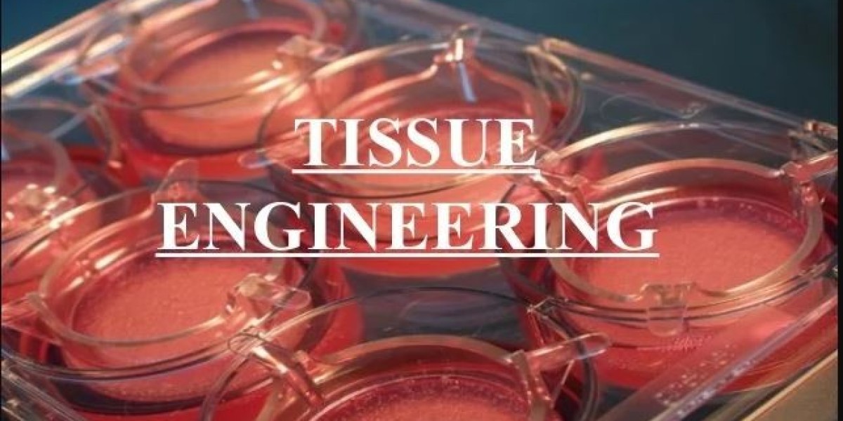 Tissue Engineering Market 2031: Size, Dynamics, Trends, and Opportunities