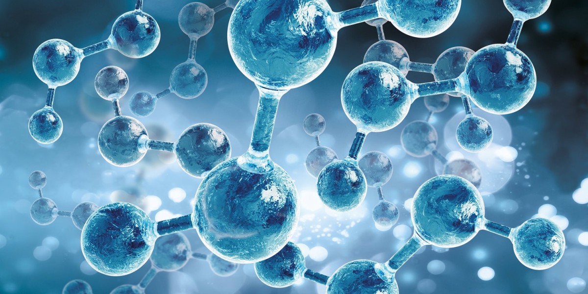 Molecular Modeling Market: Accelerating Drug Discovery Through Computational Innovation