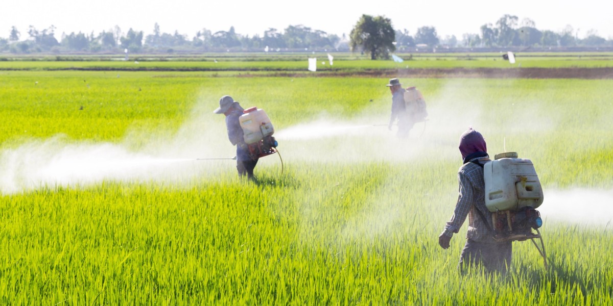 Carbamate Insecticides Market: Balancing Efficacy with Environmental Considerations